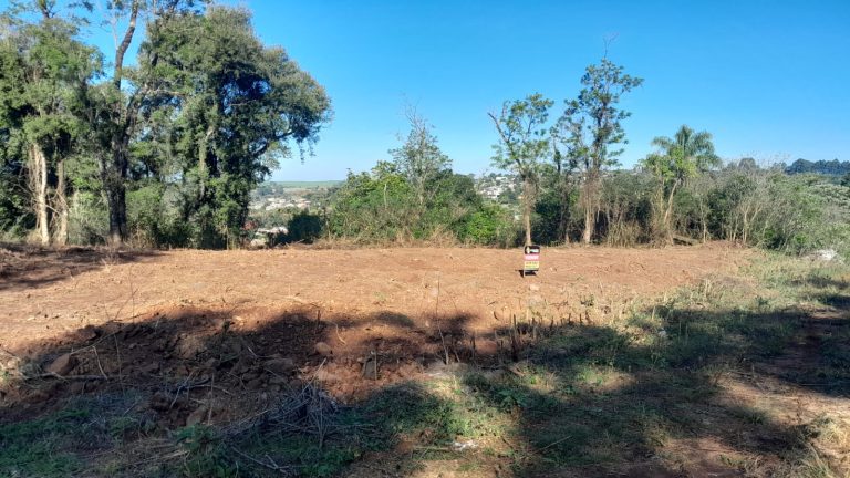 WhatsApp Image 2025-06-12 at 16.12.11