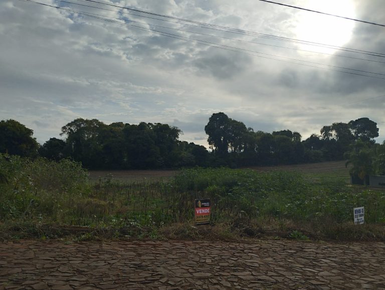 WhatsApp Image 2025-05-22 at 10.24.30