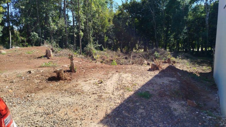 WhatsApp Image 2025-07-08 at 16.49.54