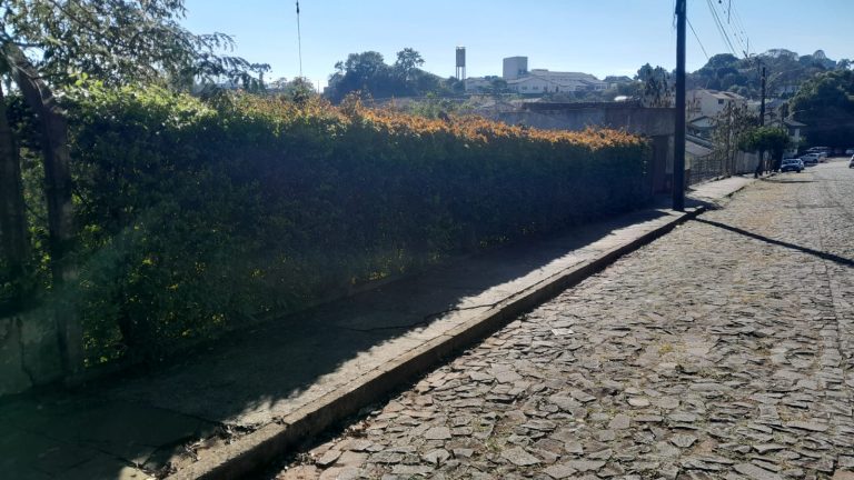 WhatsApp Image 2025-07-08 at 17.00.55