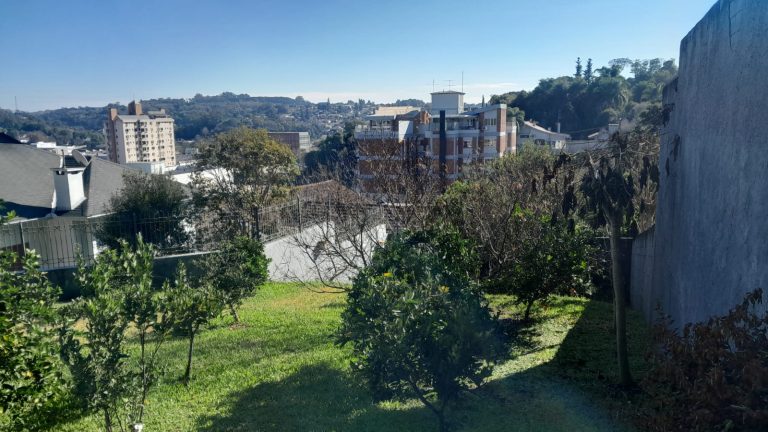 WhatsApp Image 2025-07-08 at 17.01.08