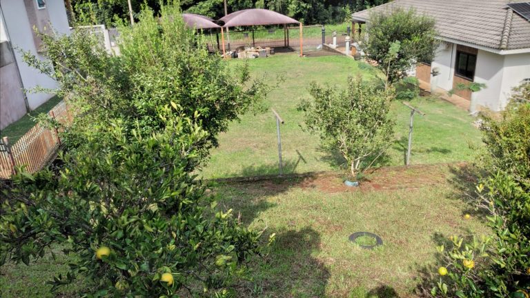 WhatsApp Image 2025-07-09 at 08.47.44