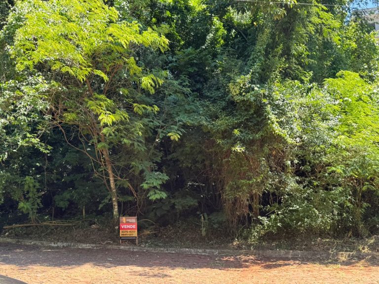 WhatsApp Image Nov 12 2025 (1)