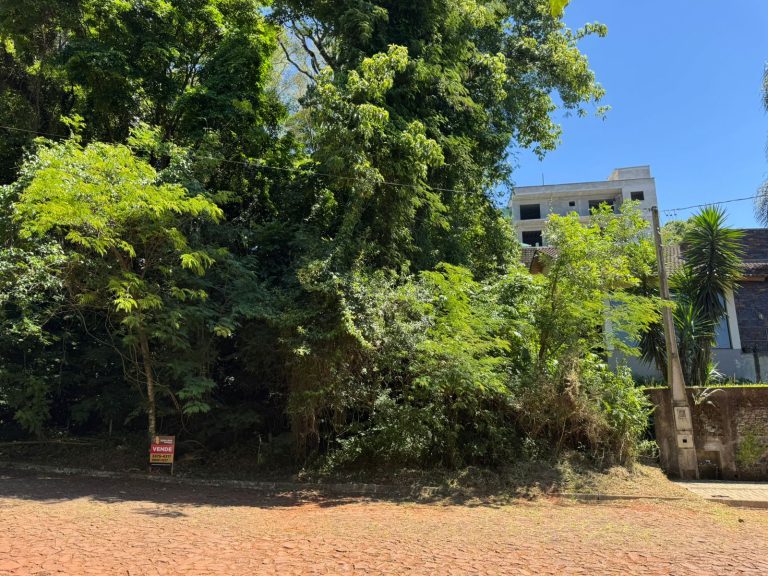 WhatsApp Image Nov 12 2025