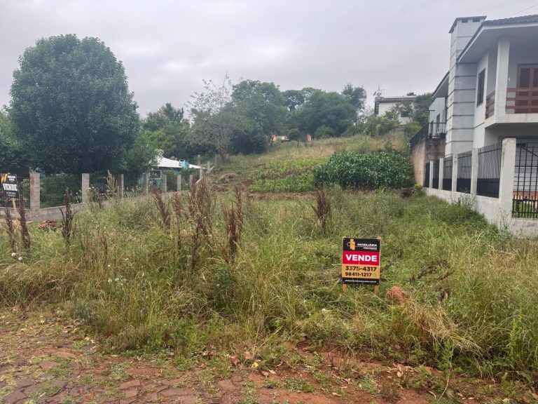 WhatsApp Image Oct 28 2025