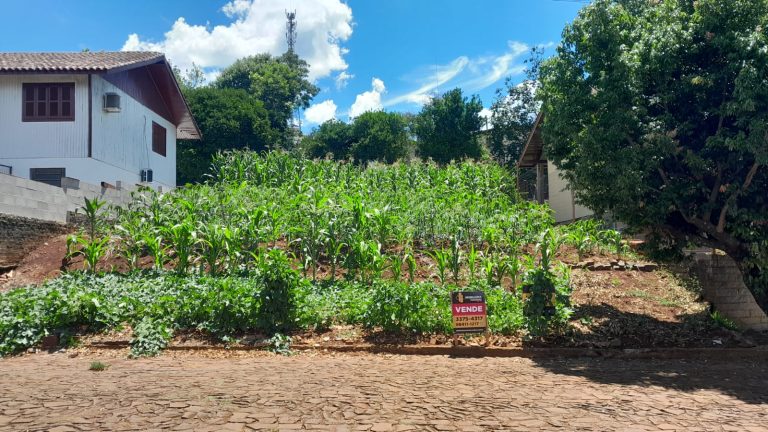 WhatsApp Image 2026-01-14 at 16.20.46