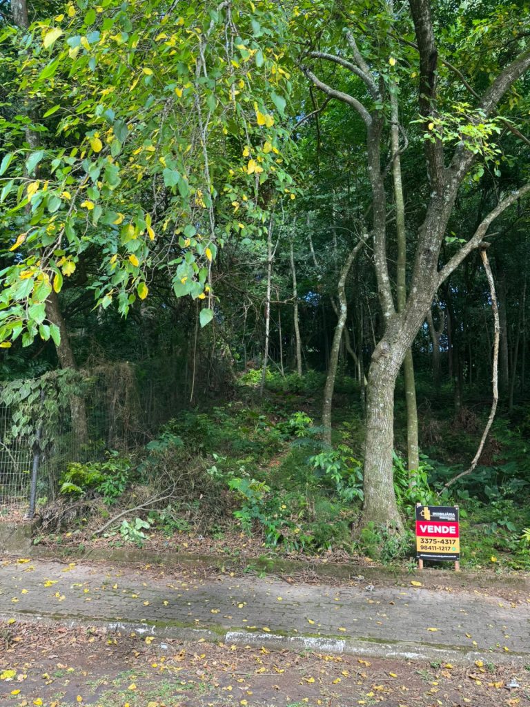 WhatsApp Image 2026-01-21 at 11.01.20