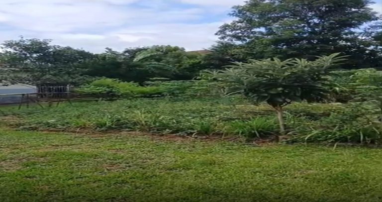 WhatsApp Image Feb 23 2026 (1)