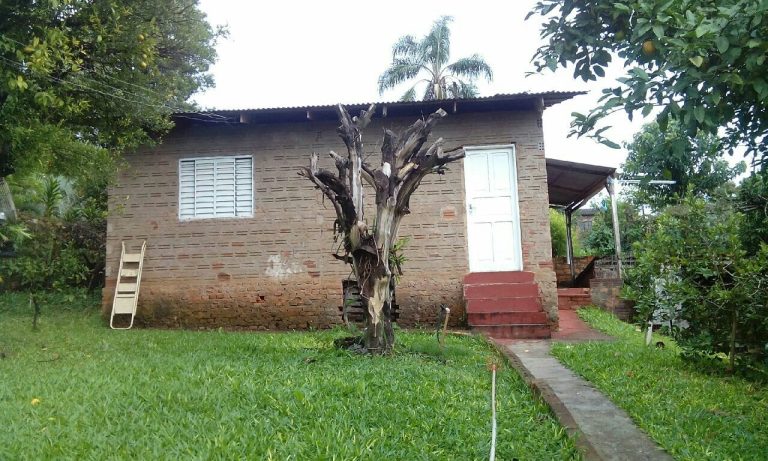 WhatsApp Image Feb 24 2026 (1)