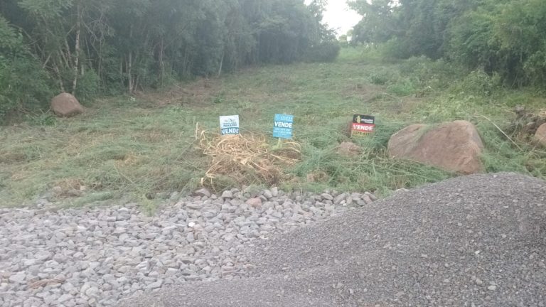 WhatsApp-Image-Feb-9-2026