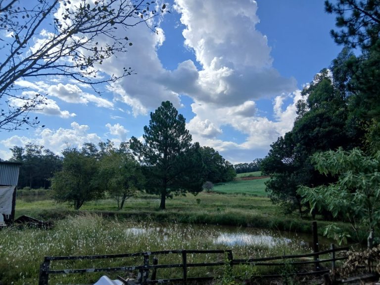 WhatsApp Image Mar 3 2026 (1)