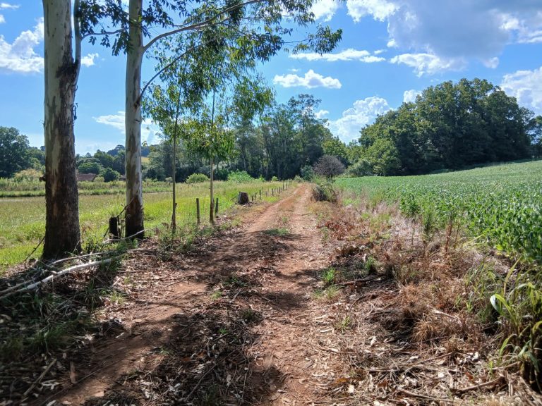 WhatsApp Image Mar 3 2026 (2)