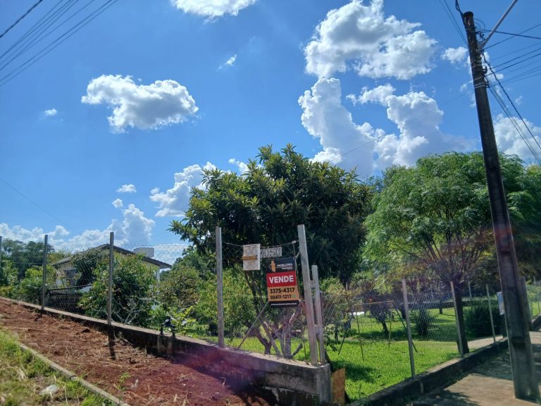 WhatsApp Image Mar 3 2026 (3)