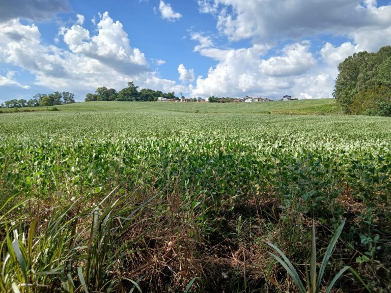 WhatsApp Image Mar 3 2026