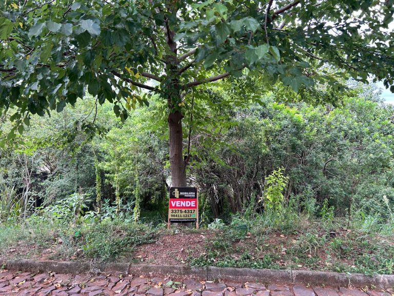 WhatsApp Image Apr 13 2026