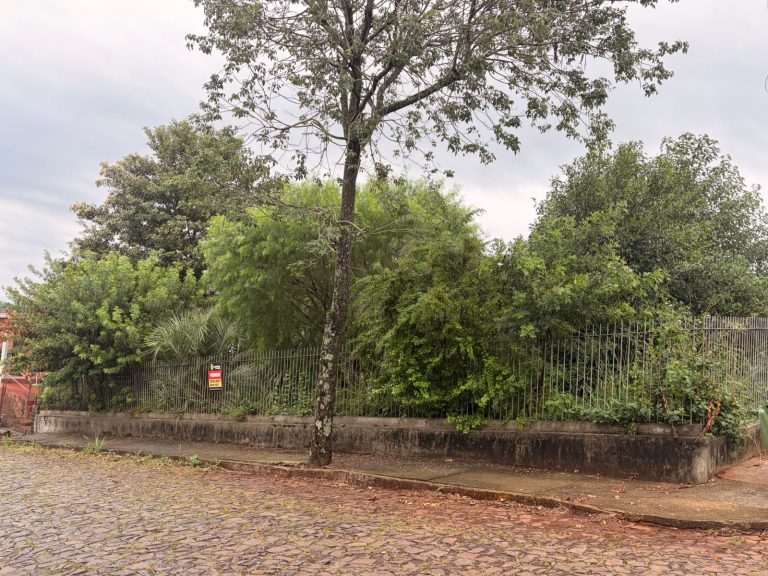 WhatsApp Image Apr 8 2026 (4)