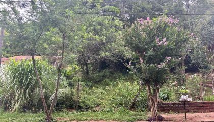 1bd9d827-2c87-4c52-8558-d79d975568a9