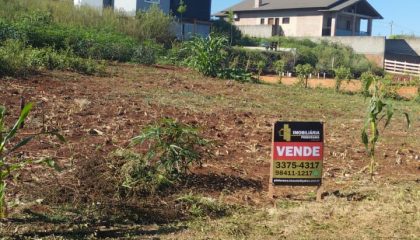 607b6335-df24-46a7-a0eb-17e326810a6e