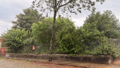 Imagem WhatsApp Abr 08 2026