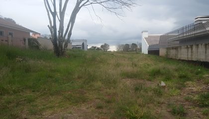 WhatsApp Image 2018-09-14 at 15.45.42(1)