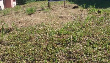 WhatsApp Image 2020-03-12 at 10.07.54