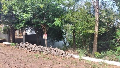 WhatsApp Image 2023-11-20 at 14.56.39