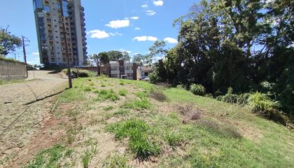 WhatsApp Image 2024-01-03 at 10.25.12 (1)