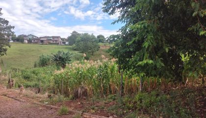 WhatsApp Image 2024-01-23 at 09.30.51