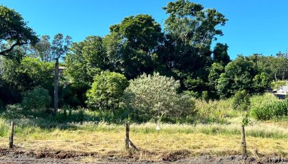 WhatsApp Image 2024-02-29 at 09.31.01 (1)