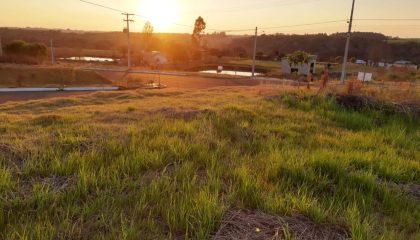 WhatsApp Image 2024-06-12 at 10.19.41