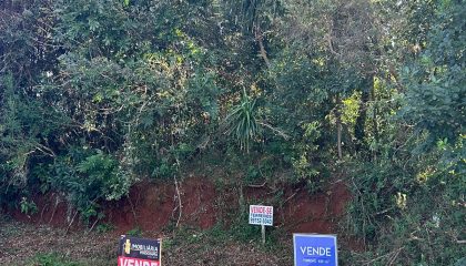 WhatsApp Image 2024-07-23 at 15.27.12