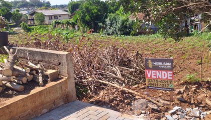 WhatsApp Image 2024-11-01 at 09.46.55