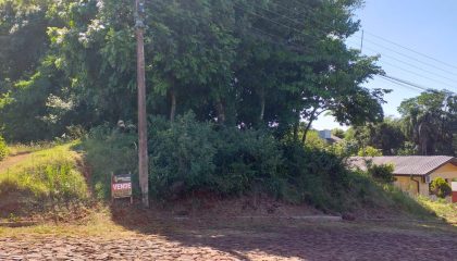 WhatsApp Image 2024-11-14 at 16.19.30