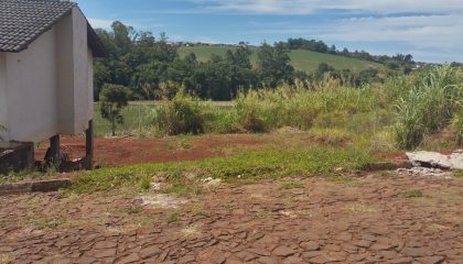 WhatsApp Image 2025-01-06 at 14.21.45