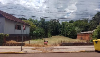 WhatsApp Image 2025-01-10 at 13.20.27