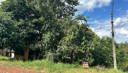 WhatsApp Image 2025-03-10 at 16.36.04