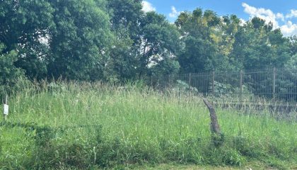 WhatsApp Image 2025-03-10 at 16.40.47