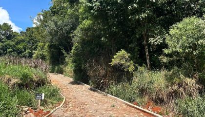 WhatsApp Image 2025-03-10 at 16.42.06