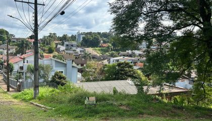 WhatsApp Image 2025-03-11 at 09.31.45(1)