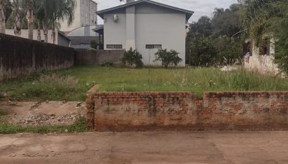 WhatsApp Image 2025-03-21 at 09.57.32