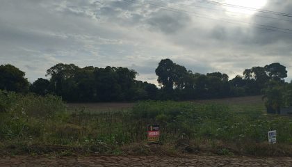 WhatsApp Image 2025-05-22 at 10.24.30