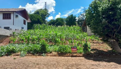 WhatsApp Image 2026-01-14 at 16.20.46