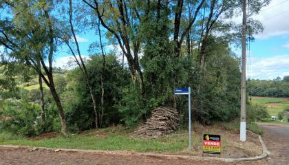 WhatsApp Image Apr 10 2026