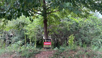 WhatsApp Image Apr 13 2026