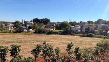 WhatsApp Image Apr 8 2026 (1)