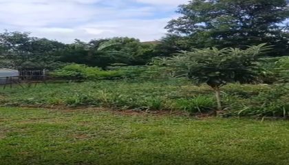 WhatsApp Image Feb 23 2026 (1)