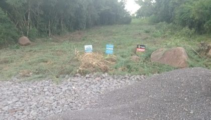 WhatsApp-Image-Feb-9-2026