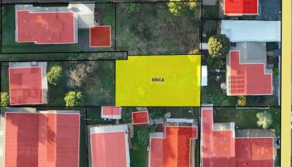 WhatsApp-Image-Mar-24-2026-3