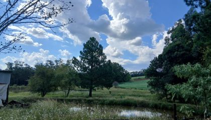 WhatsApp Image Mar 3 2026 (1)