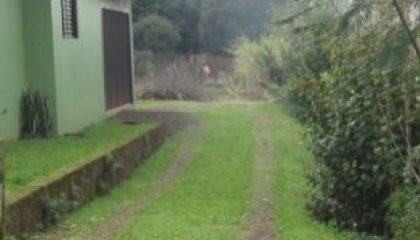 WhatsApp Image Nov 14 2025